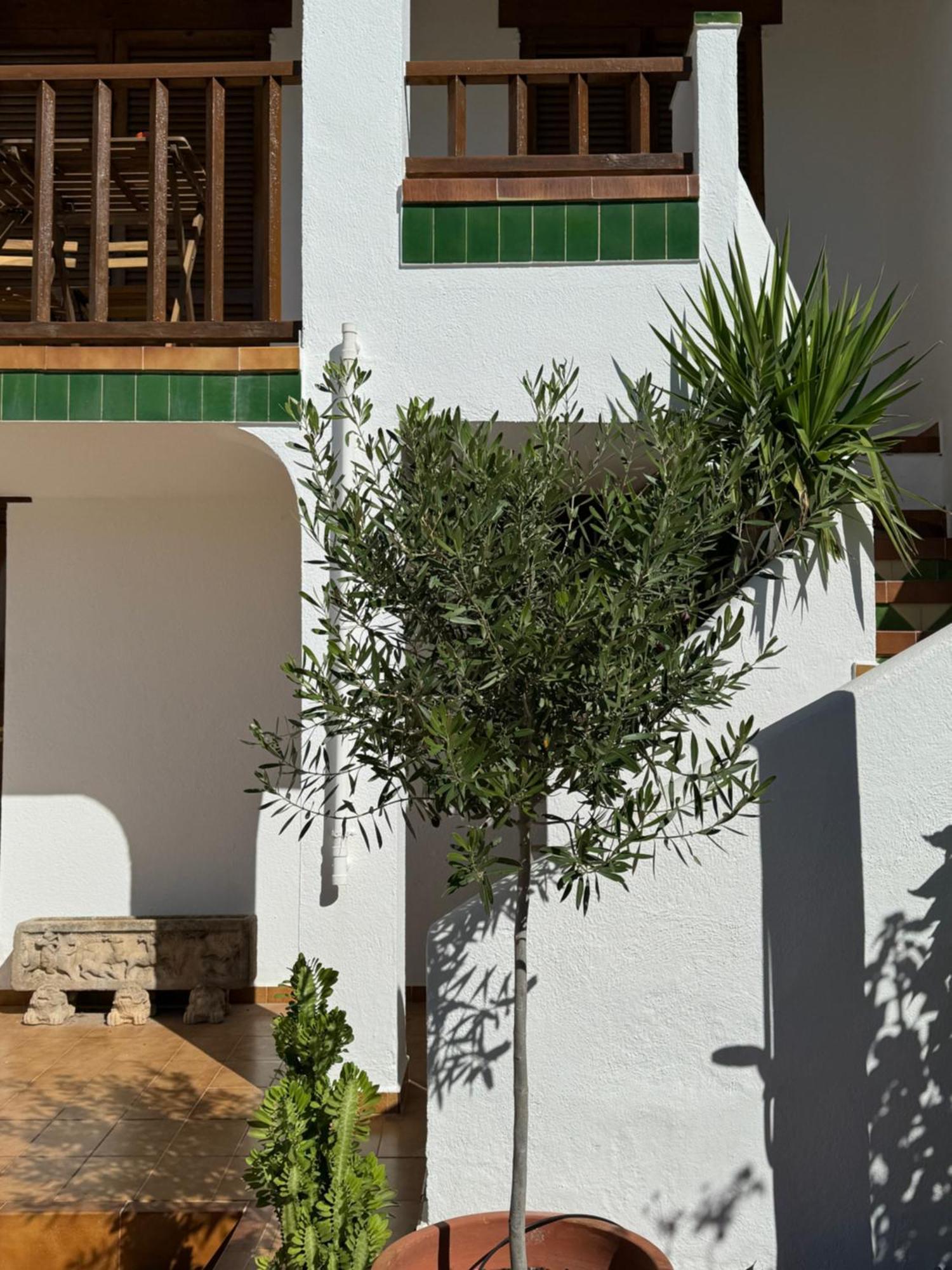 קוניט Espectacular Sunny House In The Beach מראה חיצוני תמונה